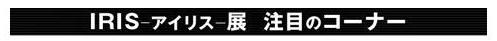 アイリス_タイトル.JPG