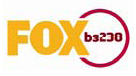 fox.bmp